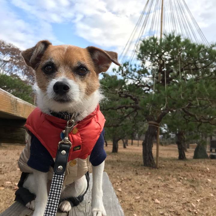 414063b2 3961 45f1 9c9a 3b40282bfbe9 1545449683510