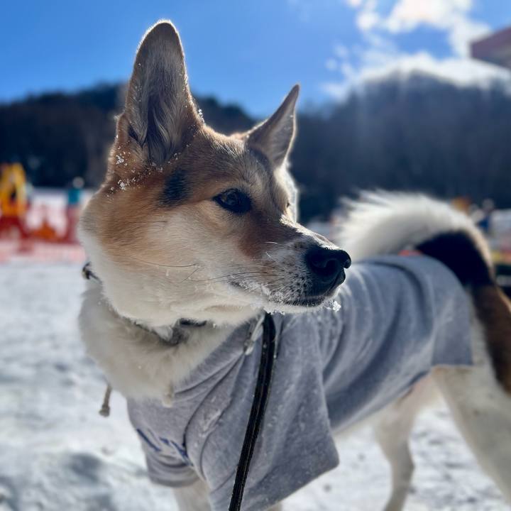 41407ccb d469 44da 95c0 fe7cb18ce752 1768361648529