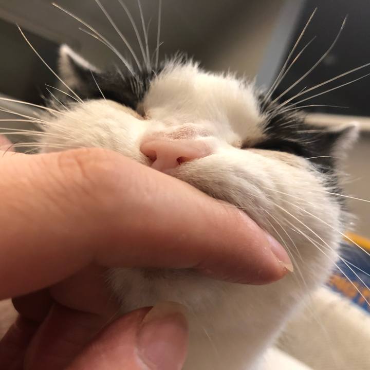 41408a18 9ddb 4ad9 b04d cdf2e00f90ee 1656256773930