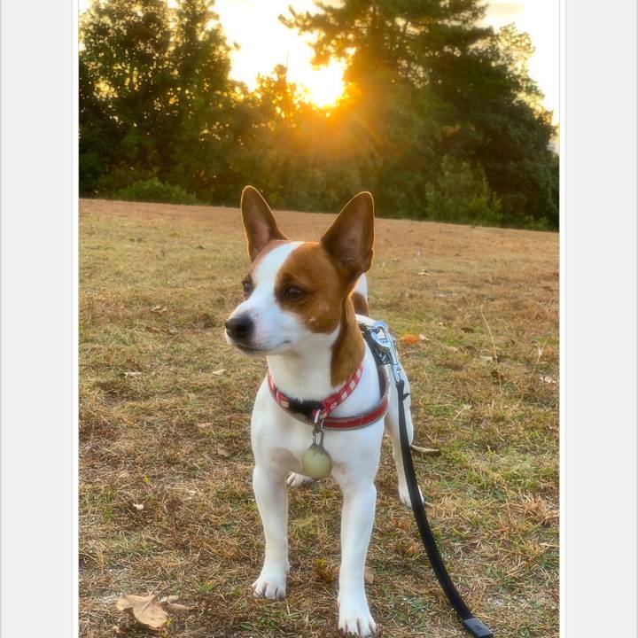 4140a393 e674 4ef2 bffc 41bdbc234753 1542965626836