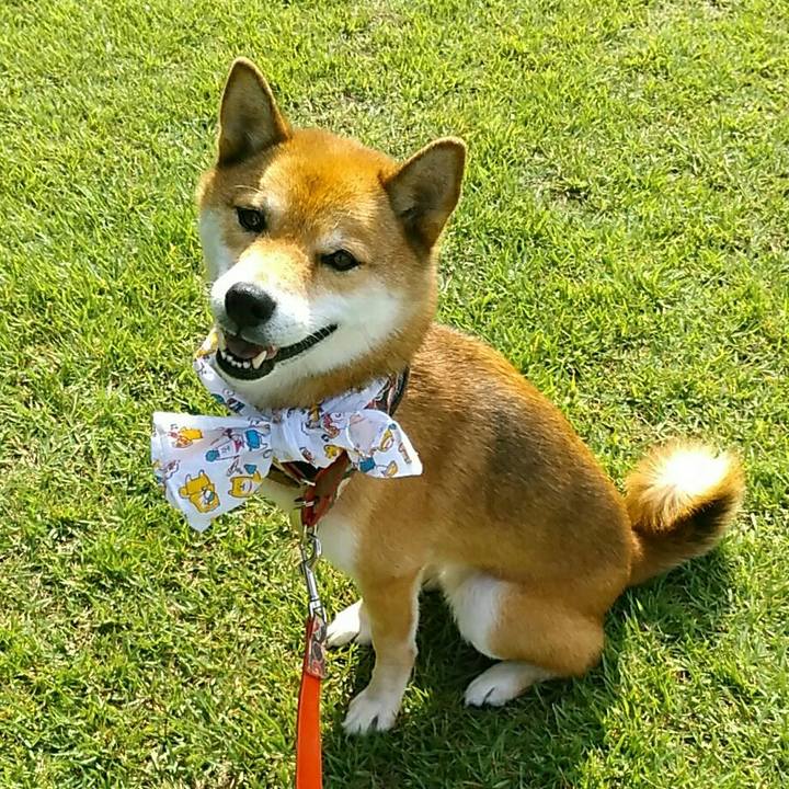 4140f769 bfce 4cac b757 95443c58e616 1567037677547