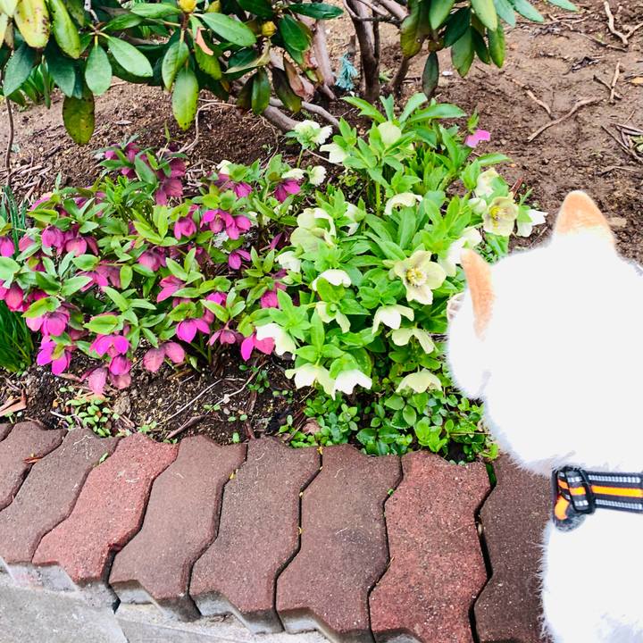 41412705 b5fe 4ef7 a7f1 76c52a12a715 1620172357188