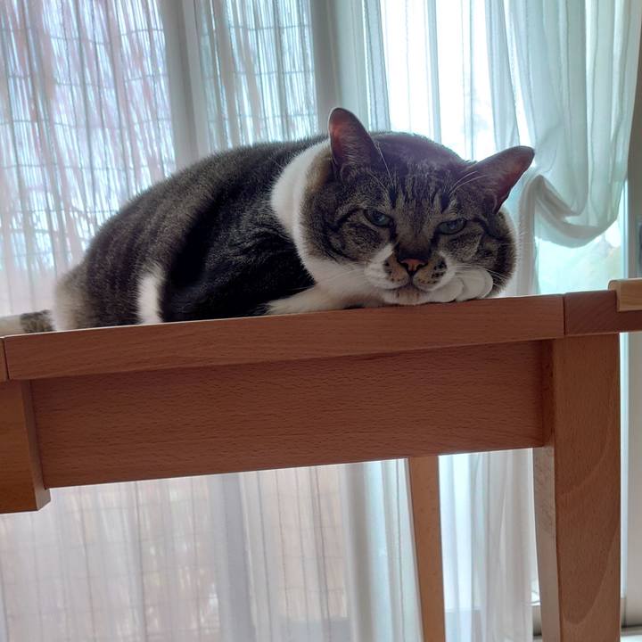 41414550 39b5 4ee0 871e a5c6ef42ebbf 1596670383485