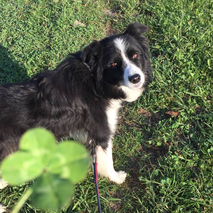 41417316 3bbc 4bd7 b3a4 c3ccd6e10c2a 1570662463989