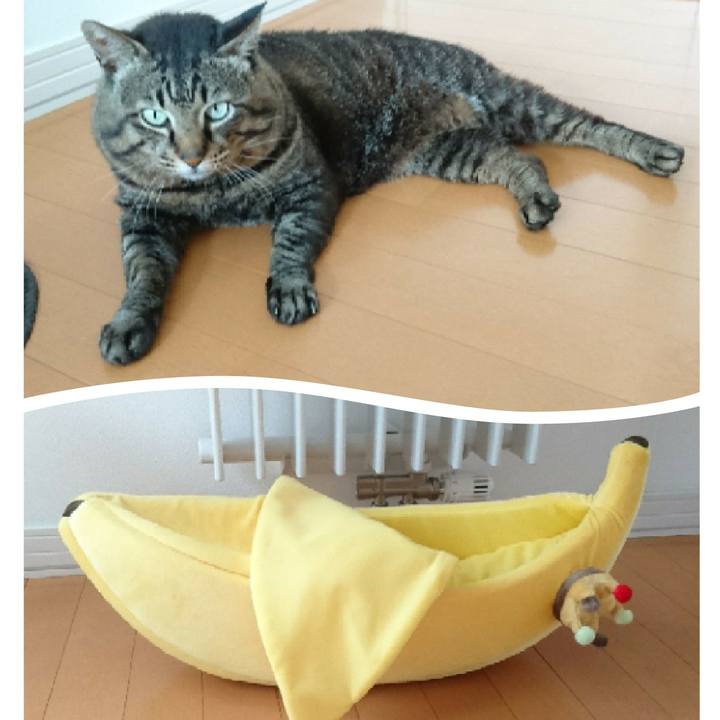 414186ee 4ed2 4548 88a7 9ff69c55deba 1559102526587