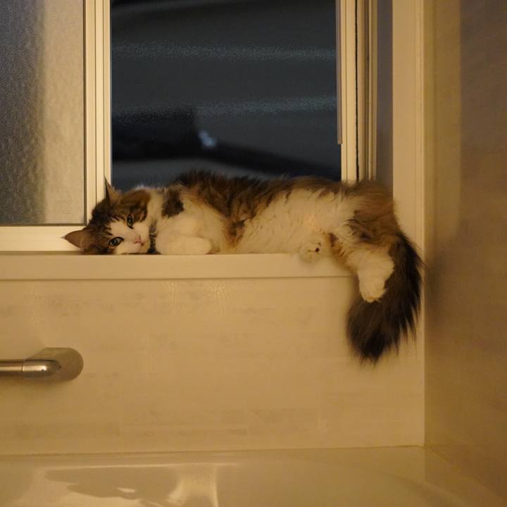 4141ac62 4258 4fb6 849f 961966b3403d 1626173733930