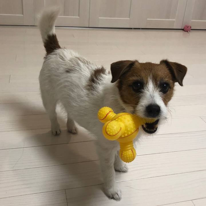 4141b20a c21c 4a9b a25d 8416c0941e42 1590882356756