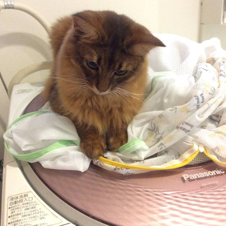 4141d04e 7442 48d4 98dc a90b334d6a4a 1625722925078