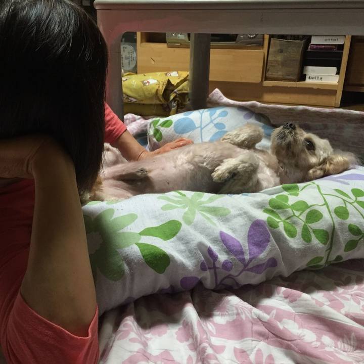 4141f15a 6662 4d57 99aa 2a98c1c2d275 1572187682143