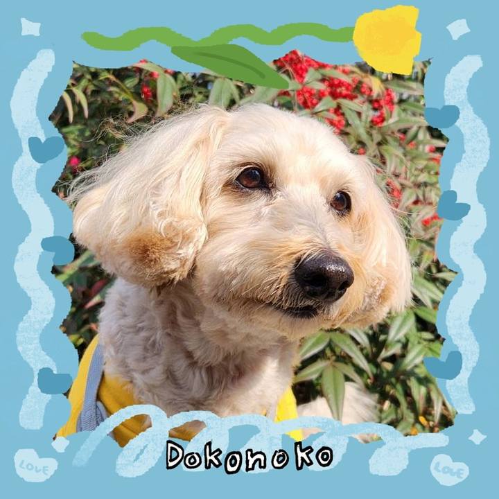 41423f4c 83c1 4450 bb6d 0c7b51ad2566 1771844783276