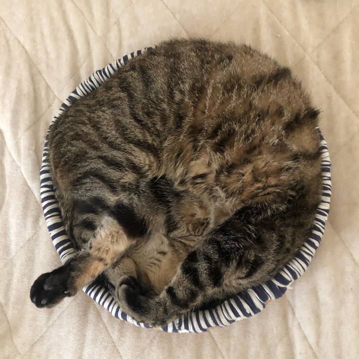 4142b466 c126 4f78 a3f5 0752eb2a304c 1602000169663