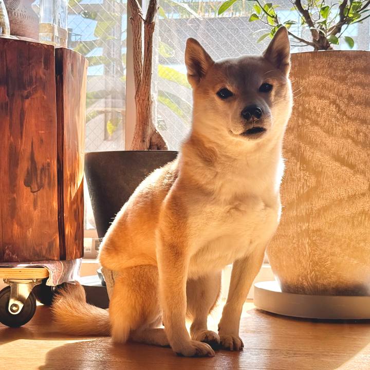 4142b4c3 f7ba 4262 a9b5 f03bfface3a1 1774144584786