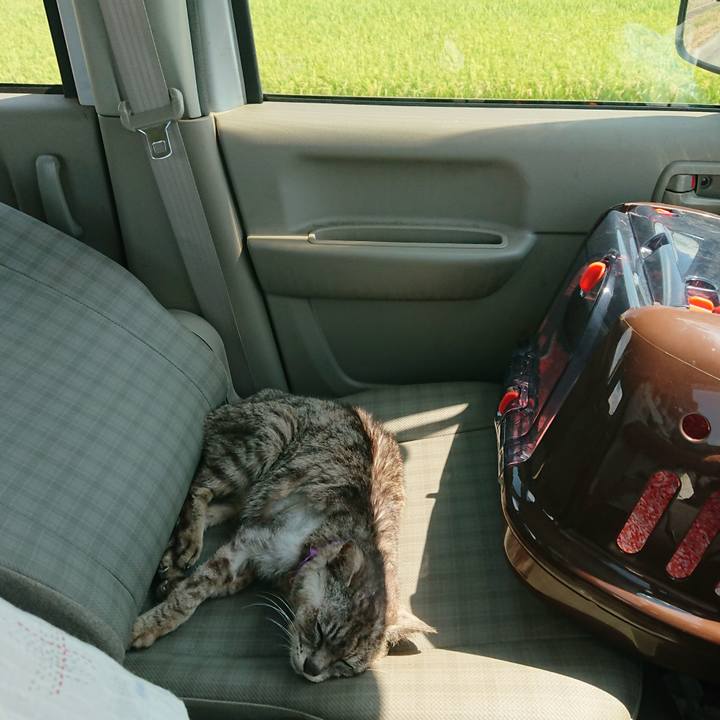 4142c0bf ce50 4e5b a4ab 108eda807e25 1598670074572