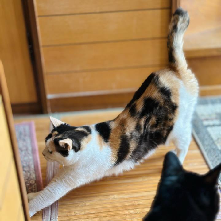 4142c7ed 3aca 467e a197 5423f8c13f8e 1693528420738