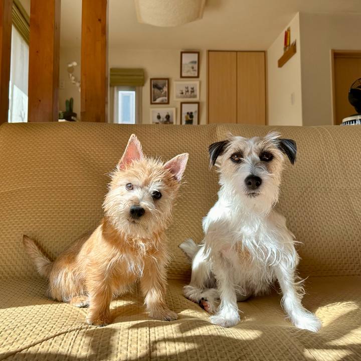 4142cec4 312b 4488 ae8b 1cd38207e7ec 1706711015718