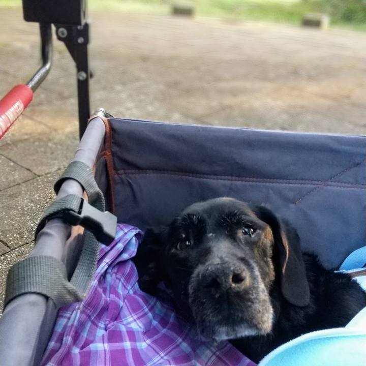 4142e21d 50fa 420b 8b8d cb8e2c268489 1727822746621