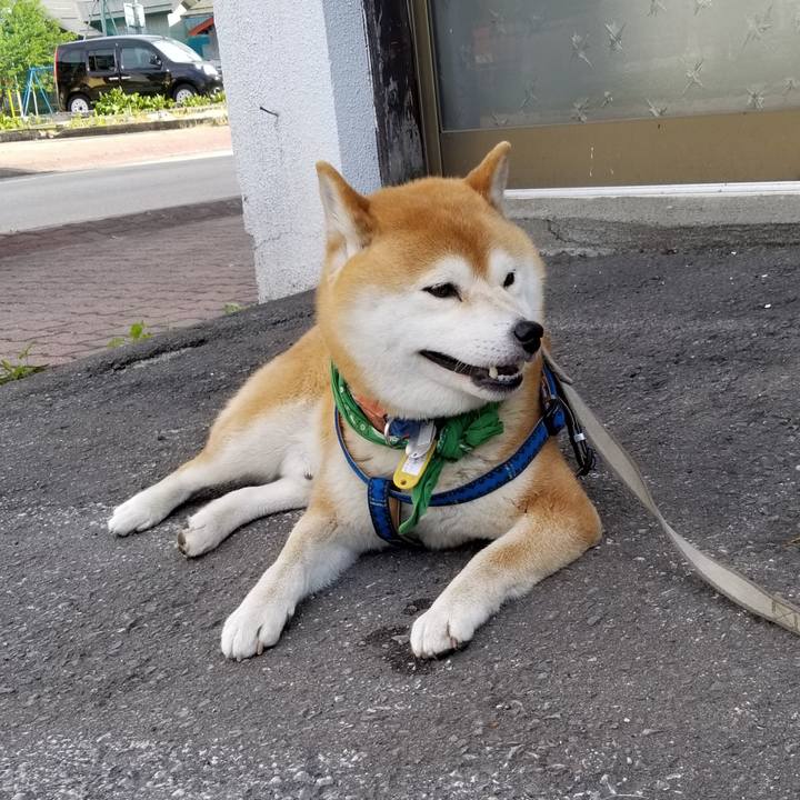 4142e376 41ad 4c3c 850e 2891bc6d4221 1557386190348