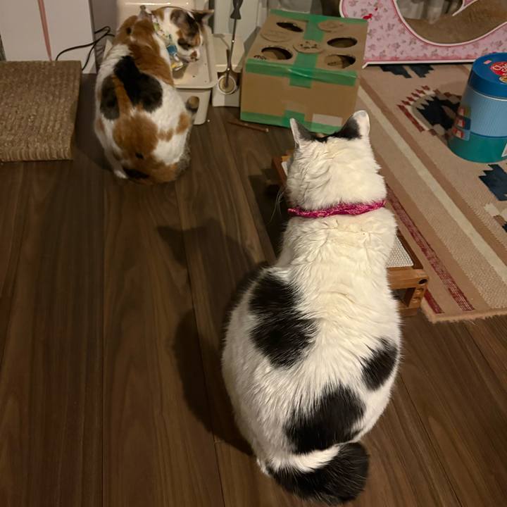 4142eefd 5102 49e5 a892 6d00484428ab 1769175275873