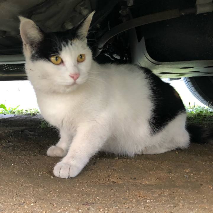 41430198 65e3 4c34 974e c5e9eef35bf6 1604010014883