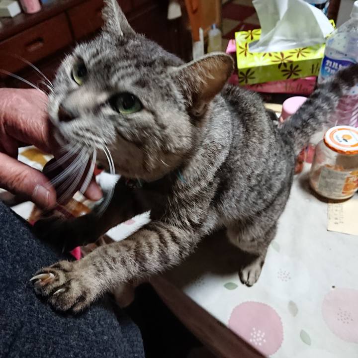 41434cd5 26b0 4648 ab76 877230689bde 1552900431479