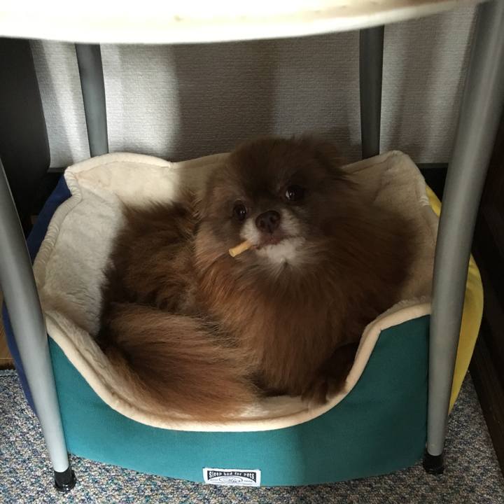 4143571a 7eca 465c a2b1 3c3c4bc29f06 1509082530784