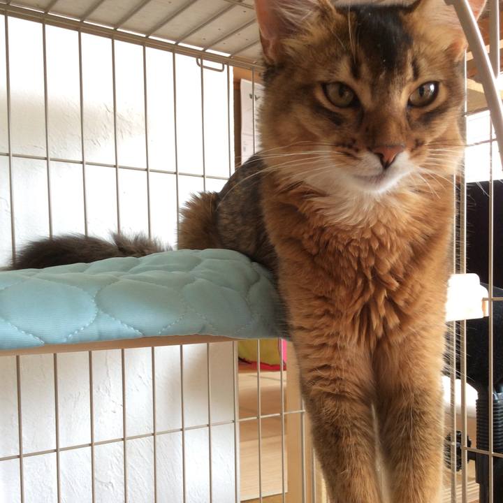 4143a0d8 0677 4355 8758 d1a404cb73d6 1565059374271