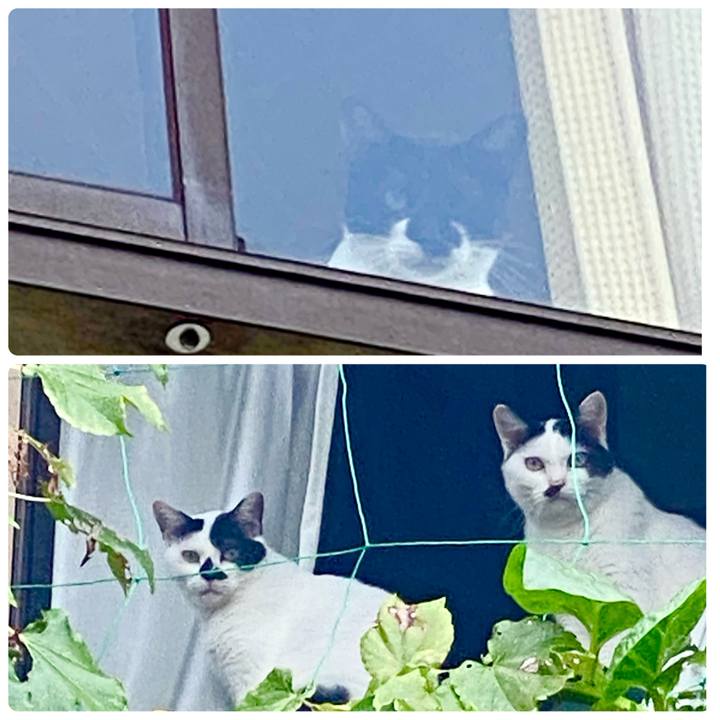 4143a236 ad0a 4951 b13b 49a1b91f739a 1756249178605