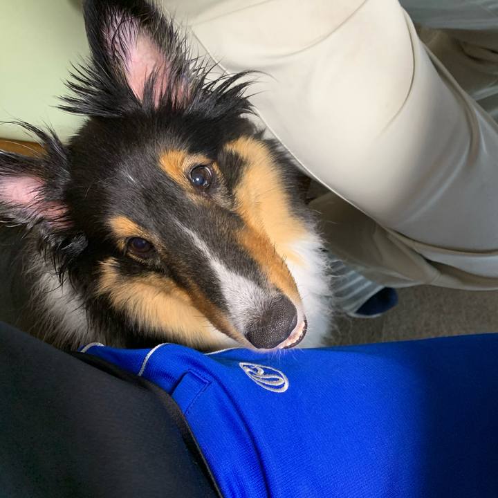 4143c9d7 3e4c 4449 a73b bb724d4e7d3a 1592949207388