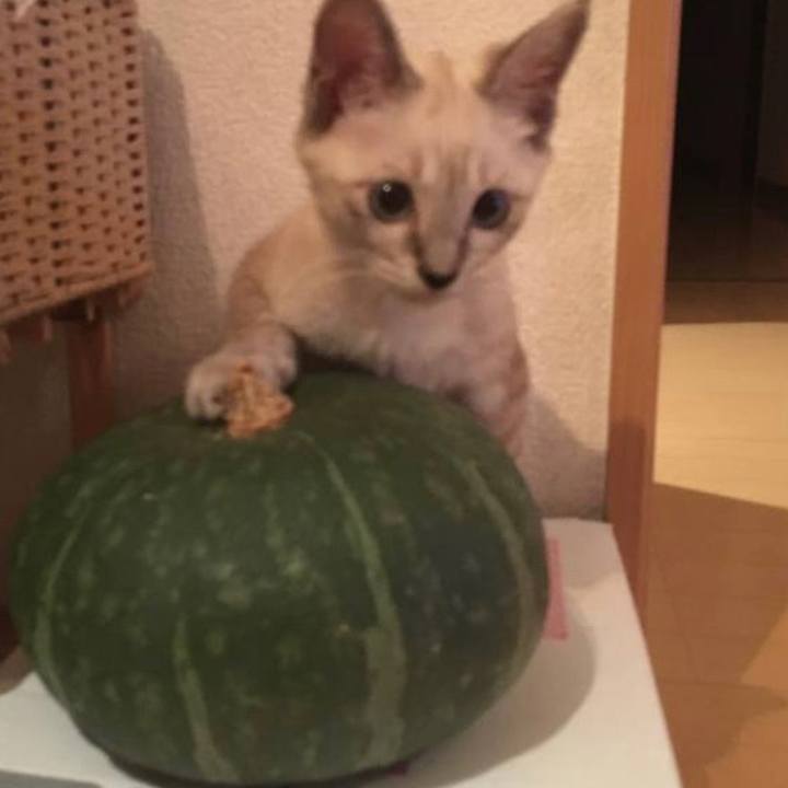 4143e052 47c7 4ca9 9cac 21fd81e59318 1659670555333