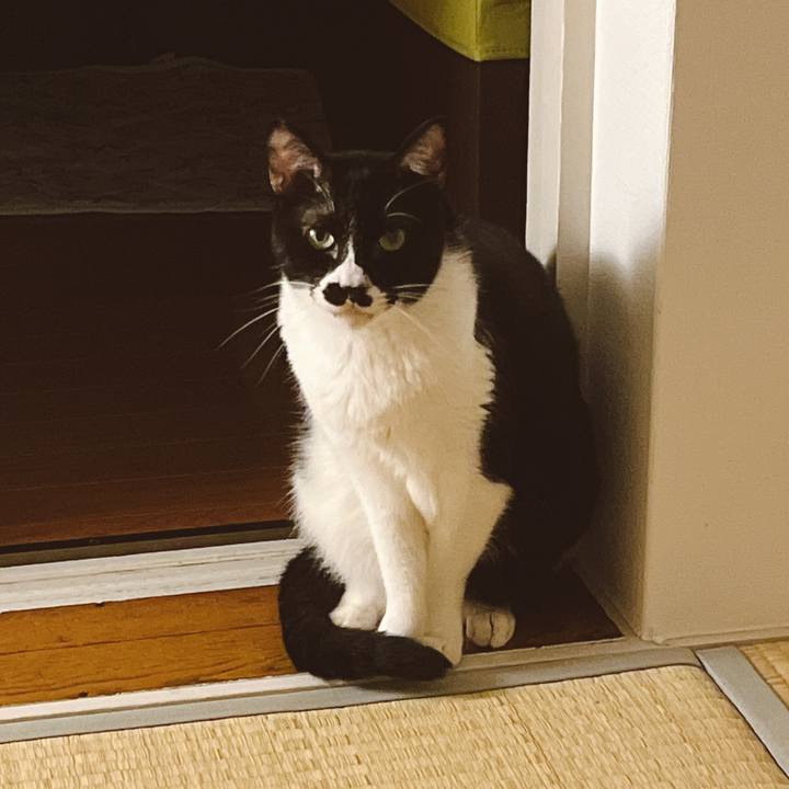 414446a1 b3a1 416c 9740 bc756f154b44 1653640294922