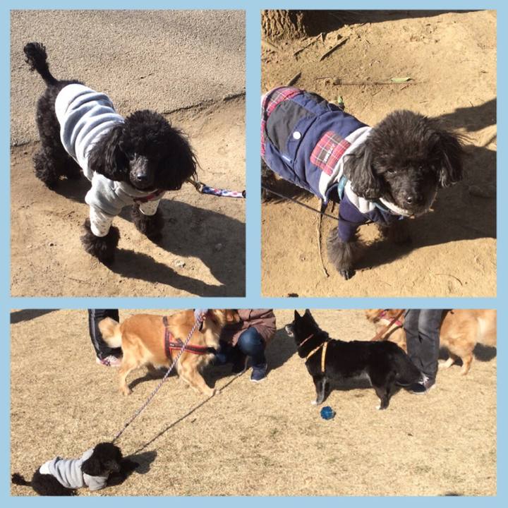 4144a0e5 f19c 4453 9cd1 bfc8d0891c09 1546925414781