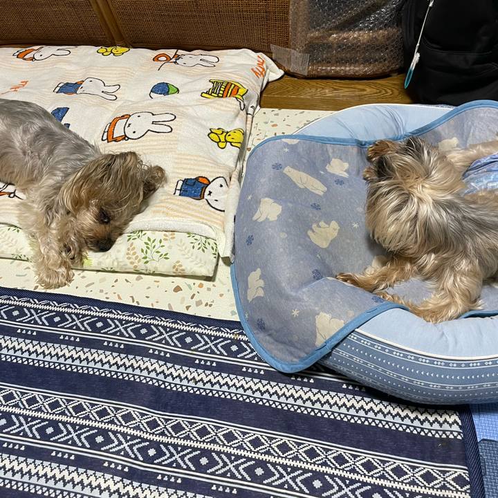 4144b3d2 63dc 4959 8f6d 5d8407921ea6 1692181503088