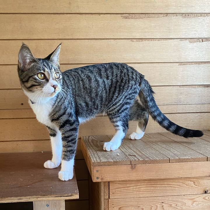 4145055d 4504 4f9c 8750 1ae7eea55d15 1634258770939