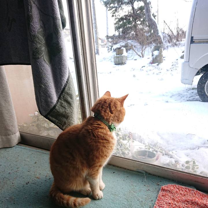 41456c65 6cd4 4aff 9443 013c675dd1f1 1581231067635