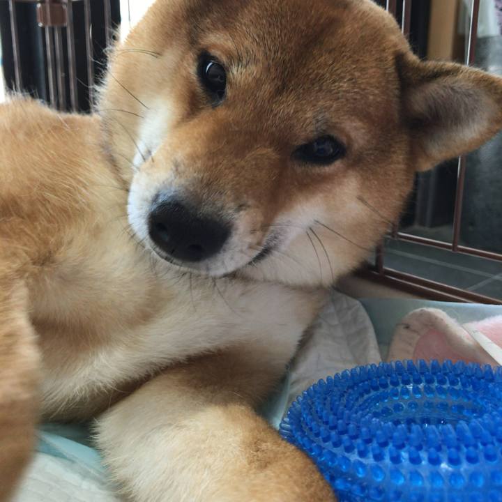 41457a29 339b 4cb5 87a0 1def7e5d041b 1522140756523