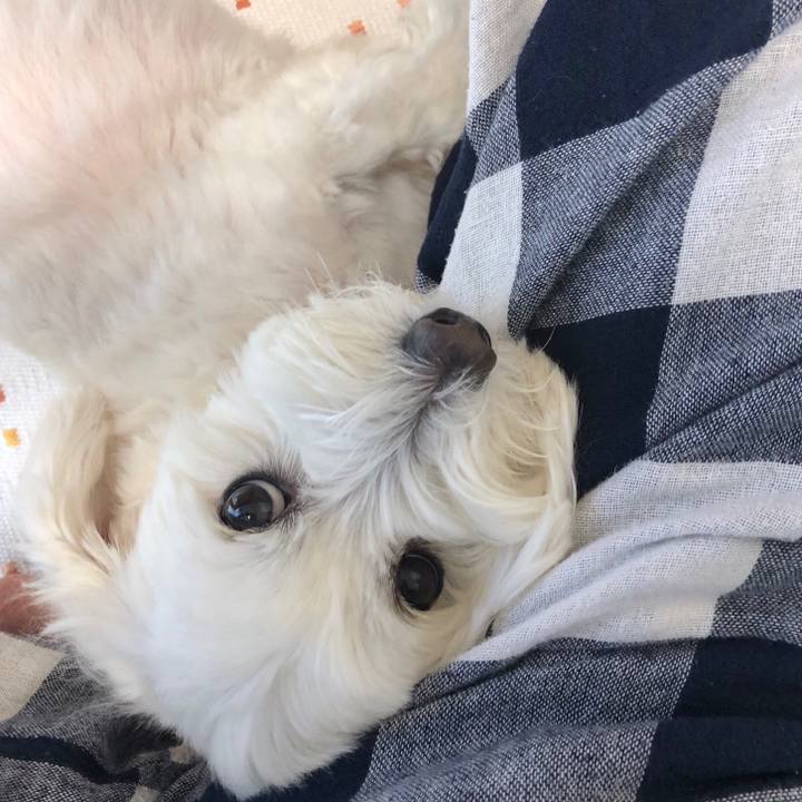 4145b5c4 a801 4ed8 bbe6 0fa08965a344 1525415475956