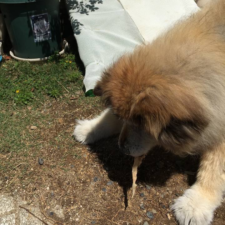 4145f873 3fd5 44c0 9524 09596fa6be32 1587956319403