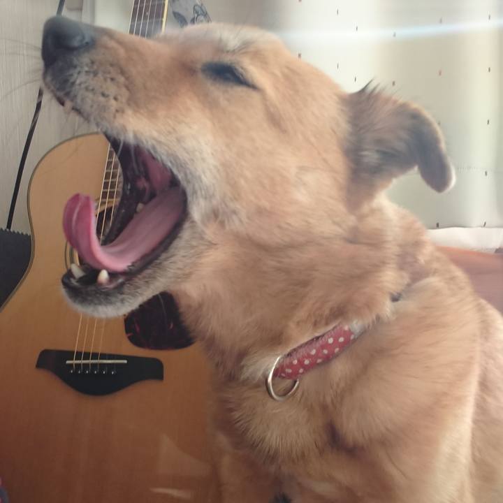 4145f8d9 76da 46de afdb 54408d0ed0a6 1581431225749