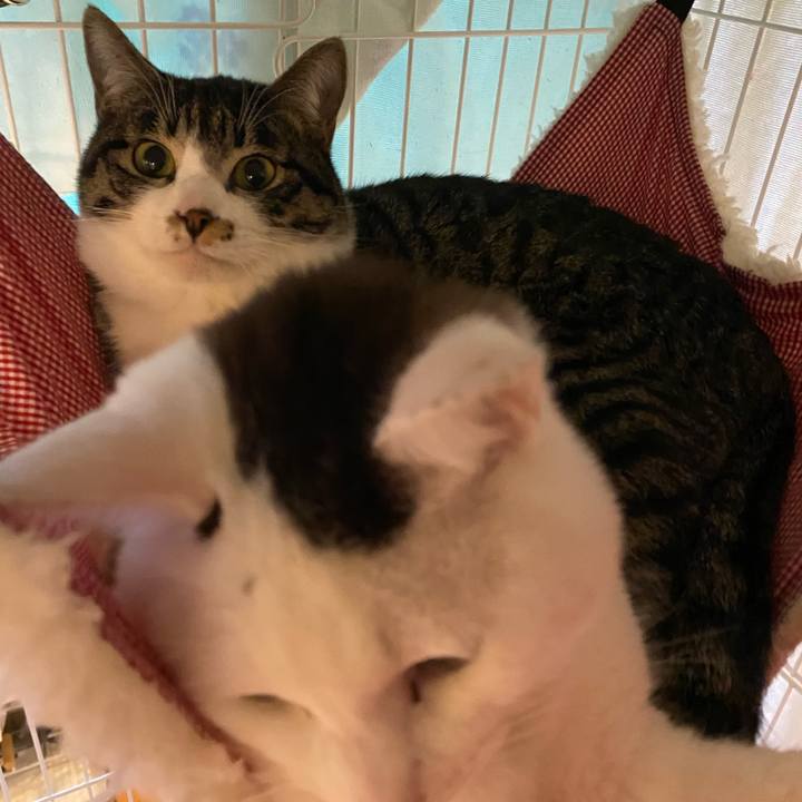 414636c0 bc69 4e3d a648 76526d1c5d98 1705737888771