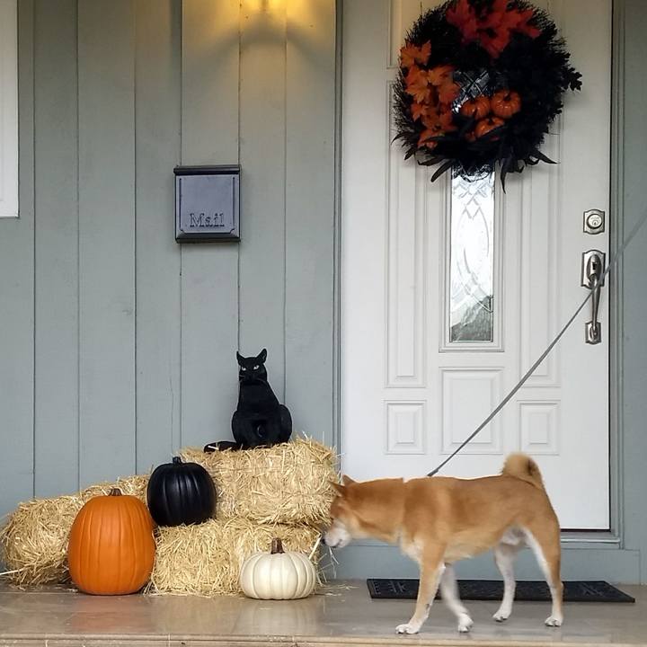 41463c90 3693 4239 b7ec 70596f4a2cc2 1507583454425