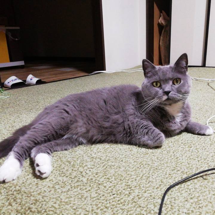 41466a50 095d 496f 9c30 5f53e05eaad8 1744455827673