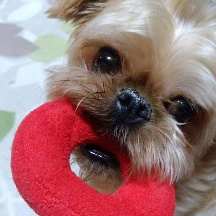 4146e055 78ce 485f 9eeb 75beddc4bb7b 1602480900880