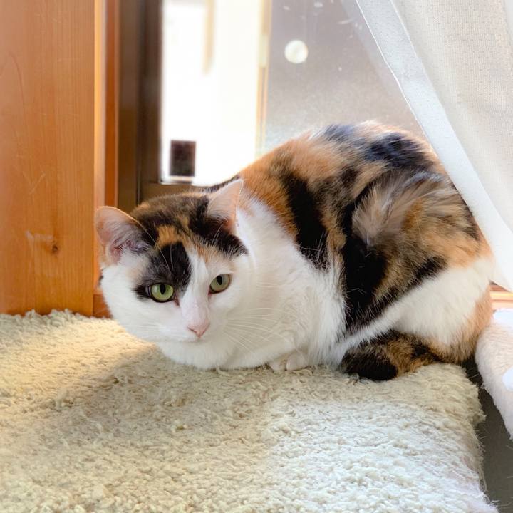 4147159c 6094 4556 950b f929fafae879 1560649921606