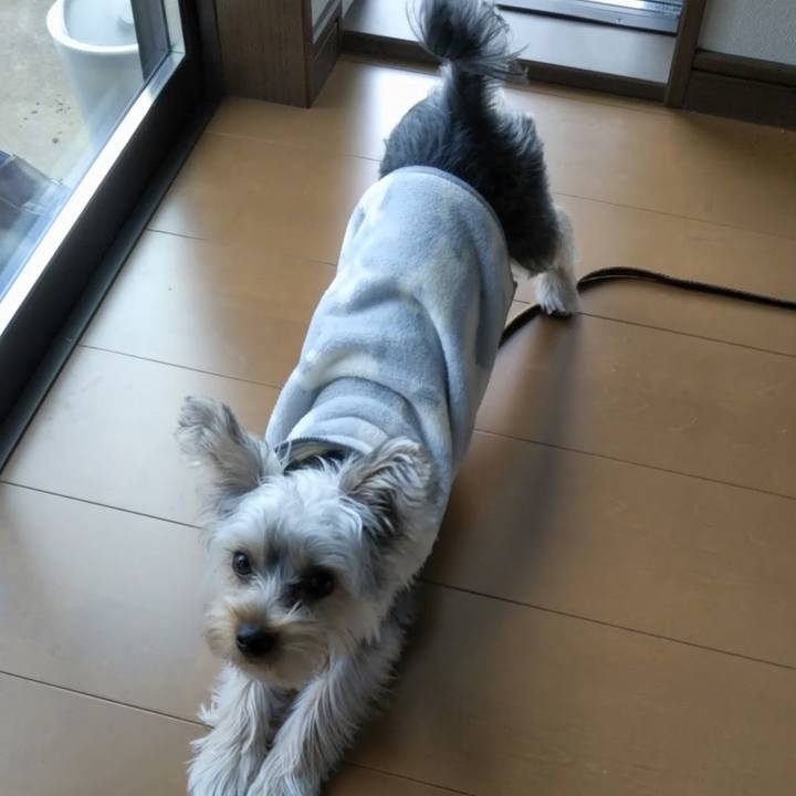 41473021 0e84 4943 9576 f1a603e6174b 1544186585372