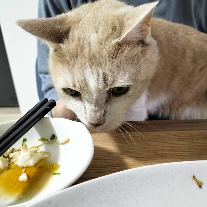 4147701c f18e 4a56 bef4 ed621285a058 1684583473322