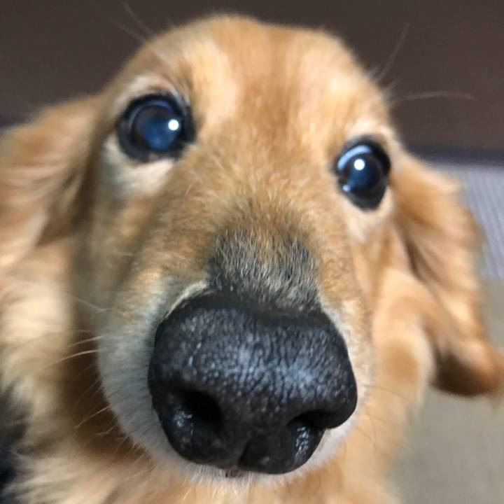 41478f94 0ddb 47db 98ad d4748c2de584 1523528046443