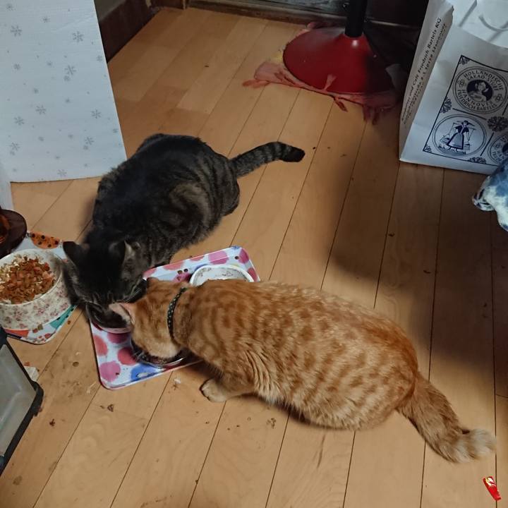 4147ed63 8eba 4640 a714 e46a3a557d32 1650889559716