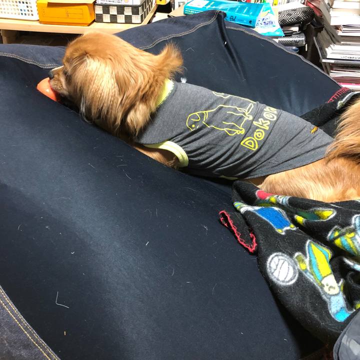 4147f11a 8132 40e3 8aae 41744851a4ff 1511432374159