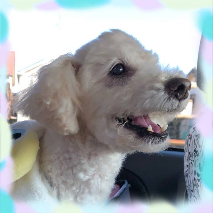 4147fe8e 623f 4bd6 bc58 11a0635dd309 1547520452442