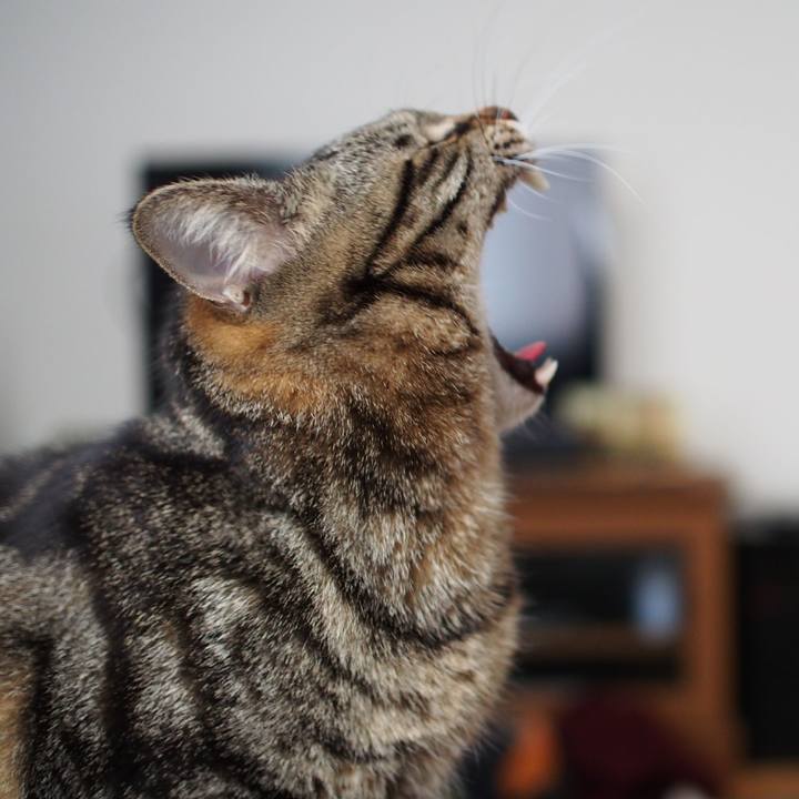 41480422 aa74 4271 aeaa 35488c504782 1556545325155